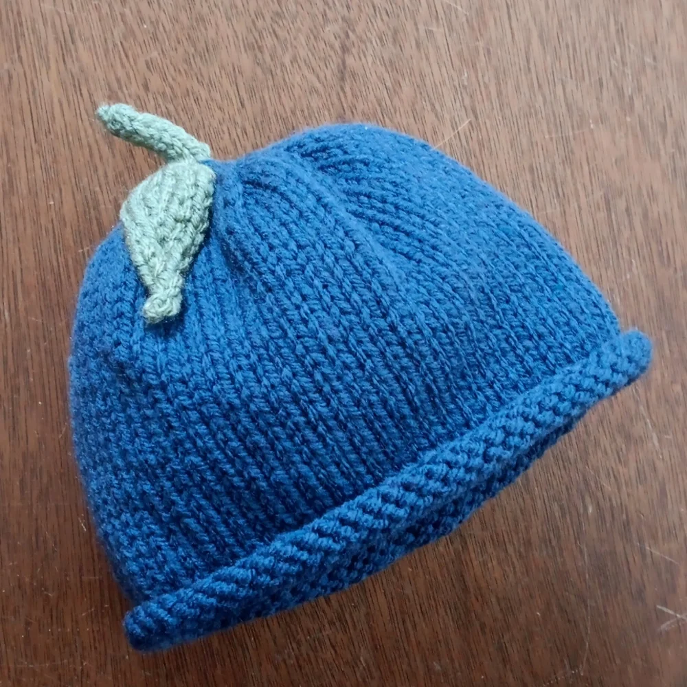 Hand Crafted Handknit Navy Blue & Green Blueberry Winter Baby Hat 3-6M